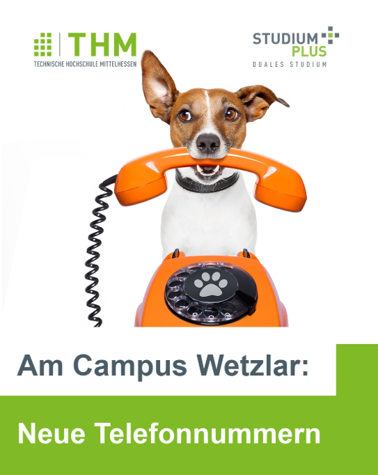 Schüler in einem Hörsaal