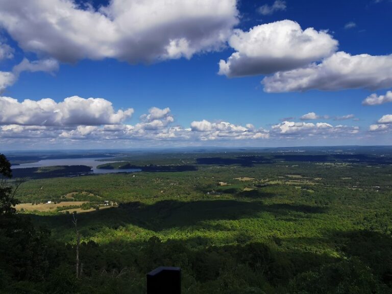 Blauer Himmel, grüne Bäume und ruhiges Wasser.